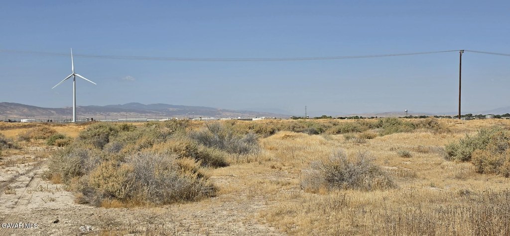Picture 5