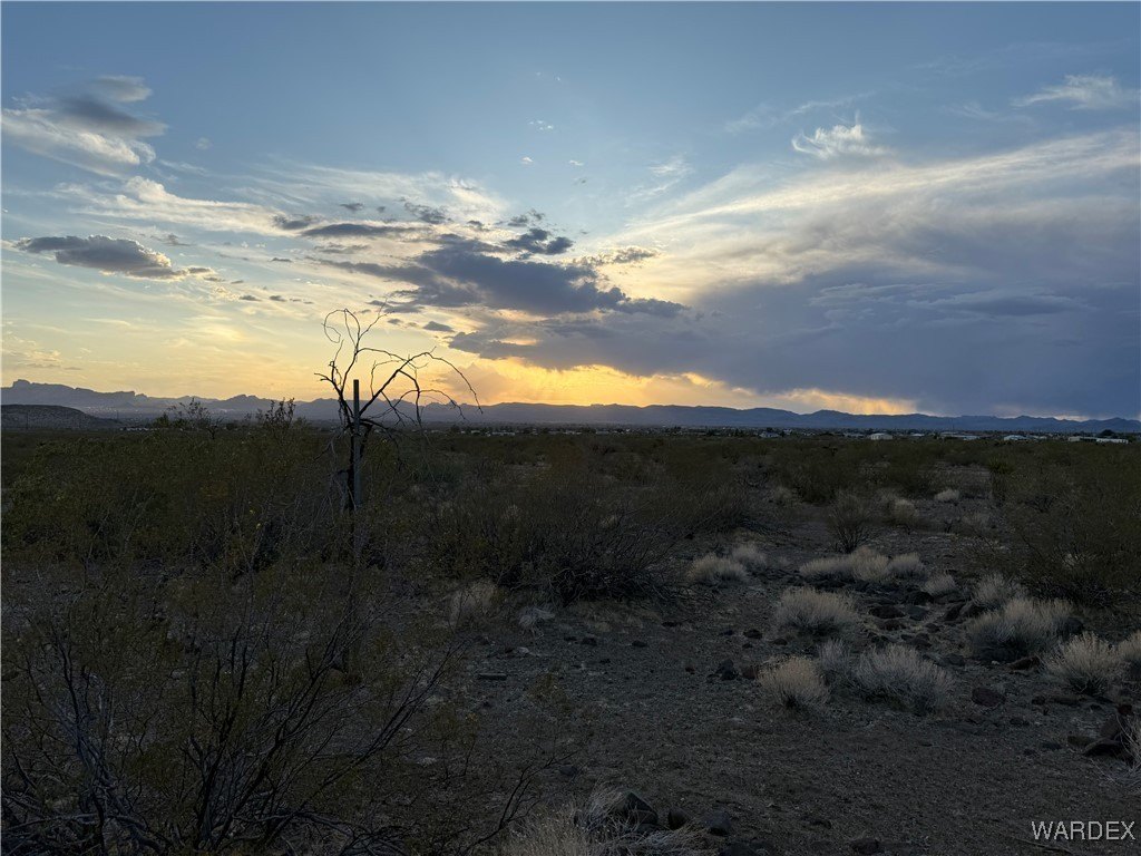 Picture 13