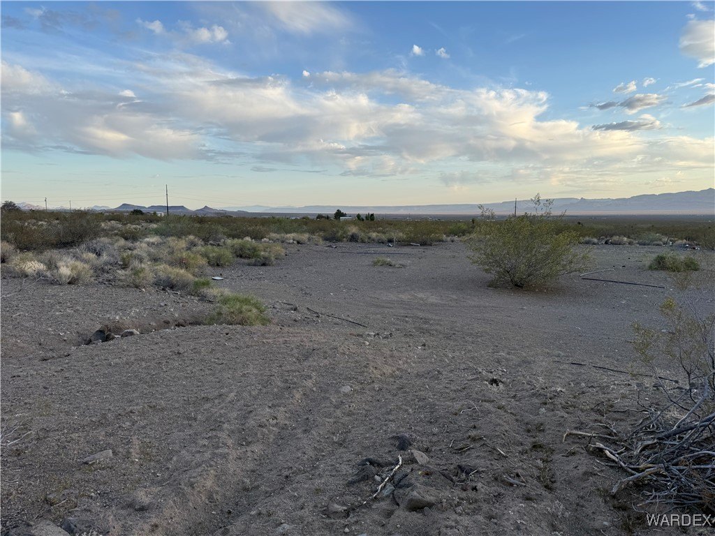 Picture 19