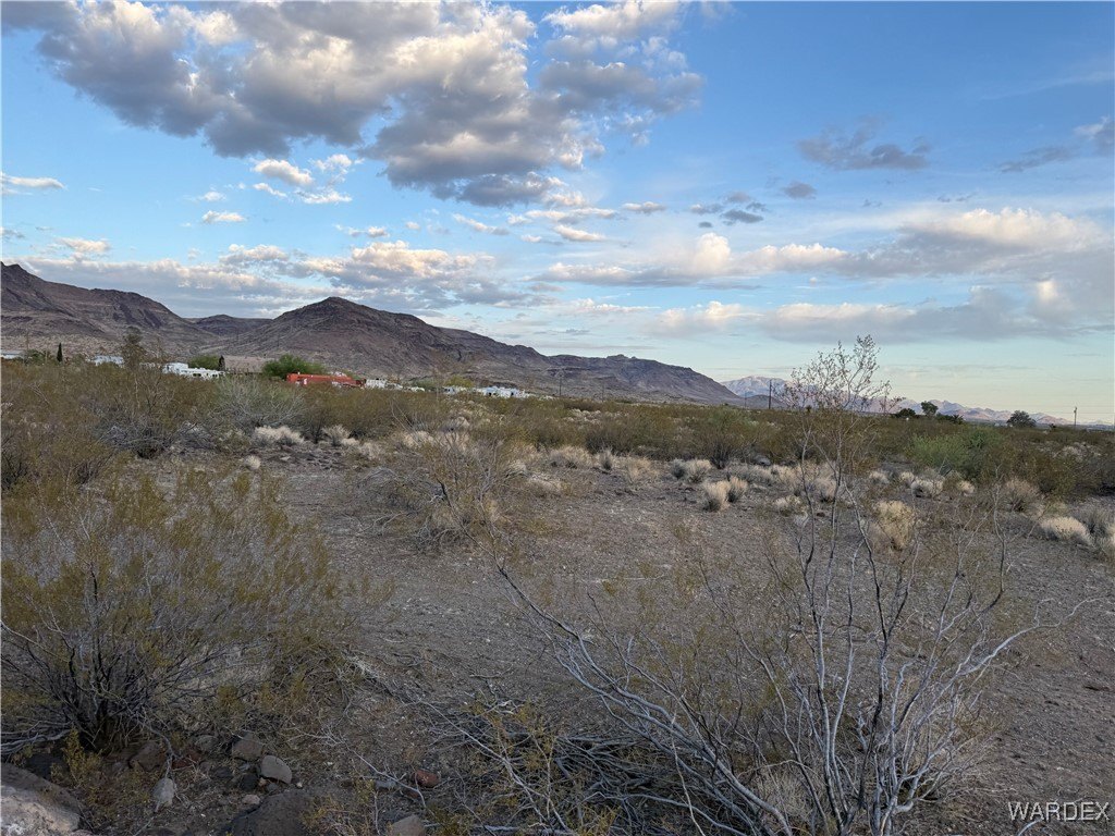 Picture 17