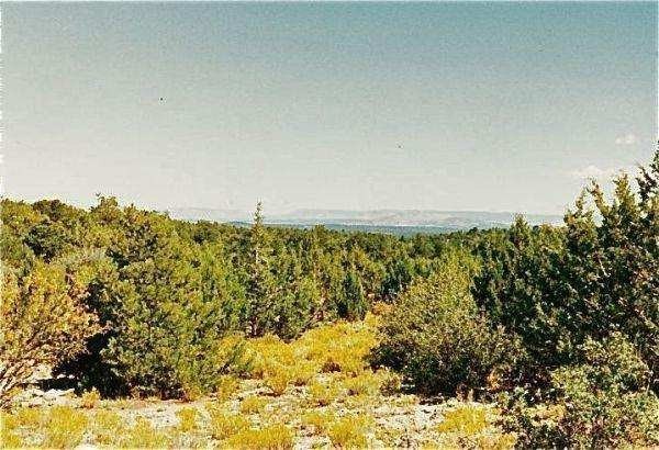 Wooded Land Adjacent to State