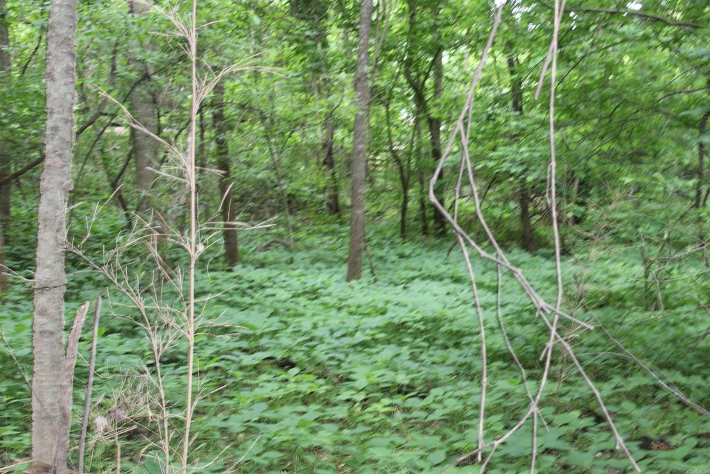 Picture 13