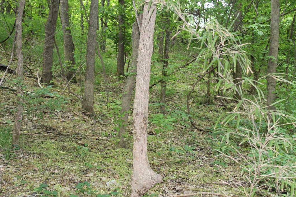 Picture 12