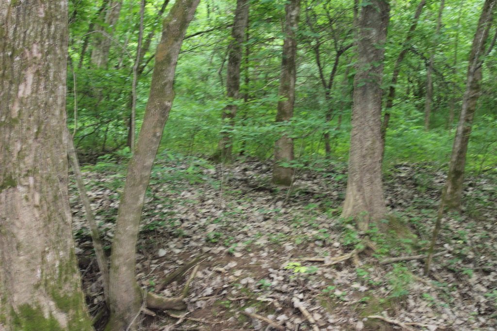 Picture 11