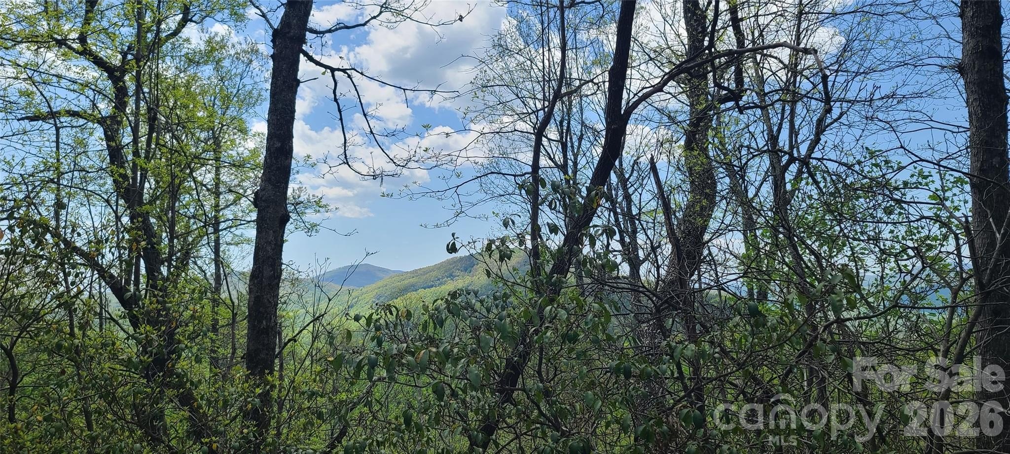 Homesite in High Cliffs Community