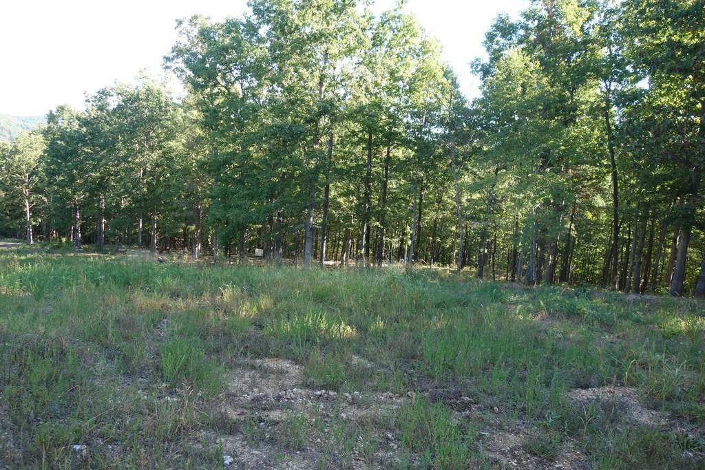 Picture 14