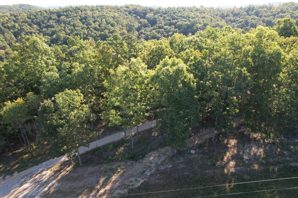 Picture 13