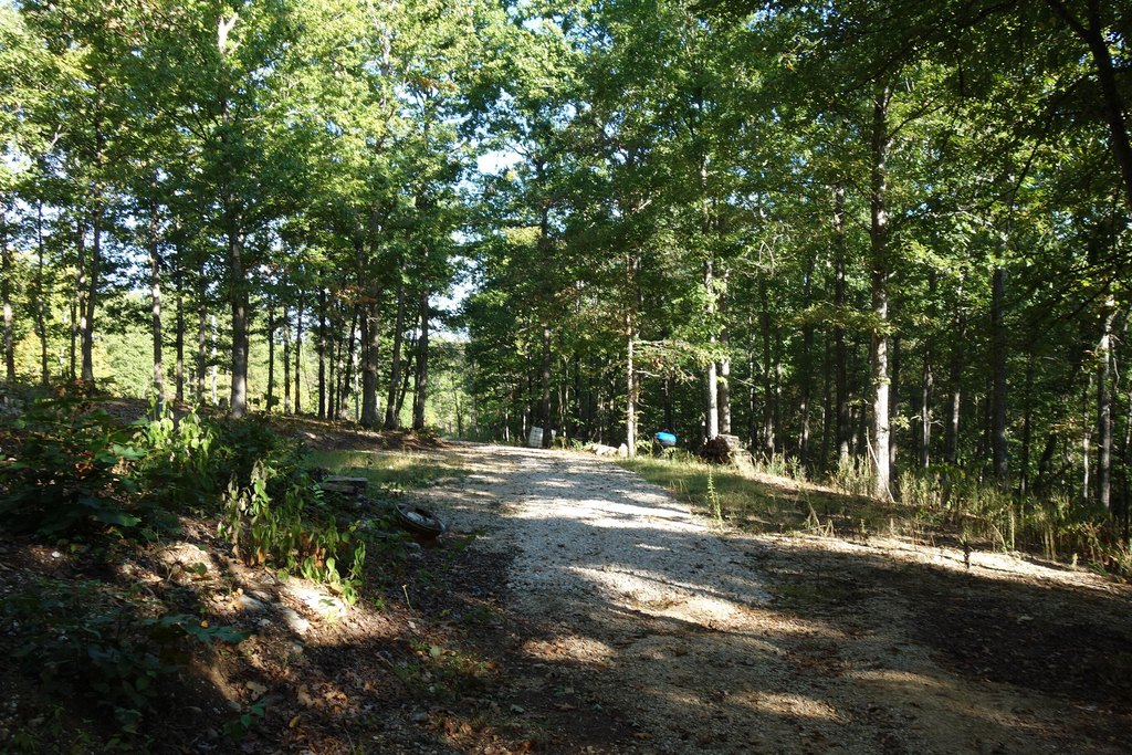 Picture 9
