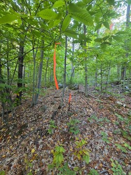 Land, Hiram, ME