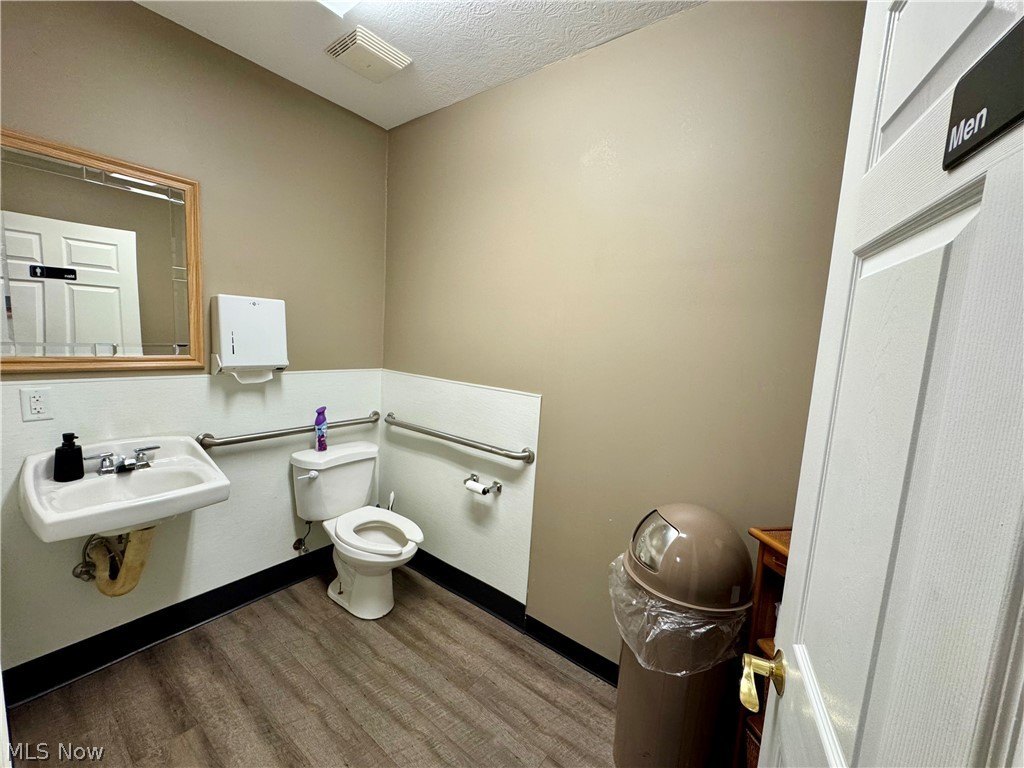 Picture 19