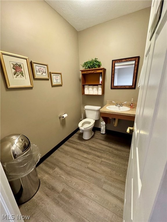 Picture 13