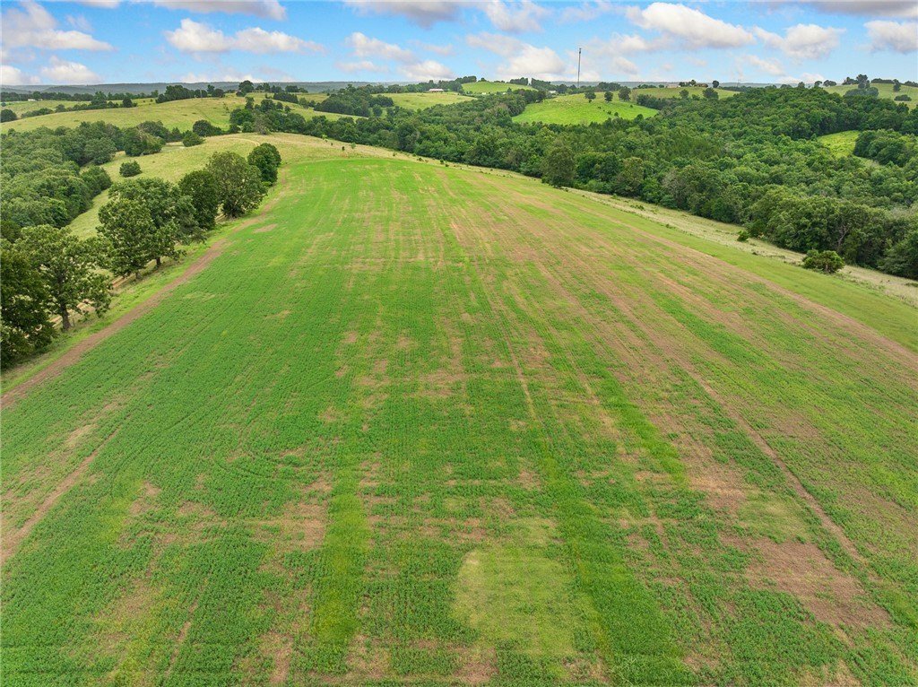 Ozark Farm with Acreage