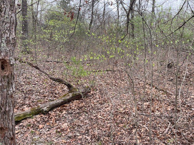 Picture 9