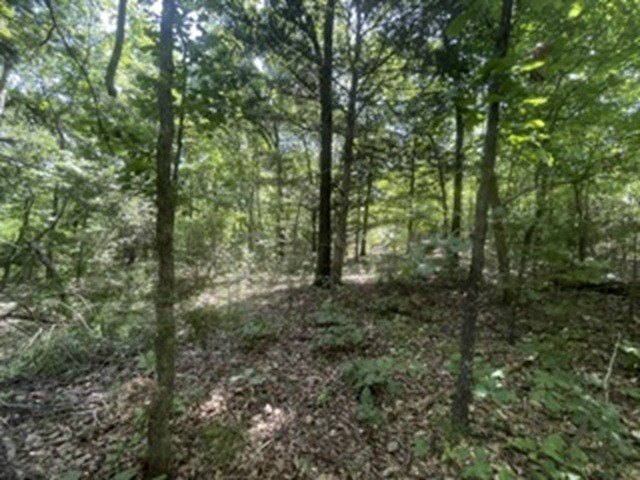 Picture 2