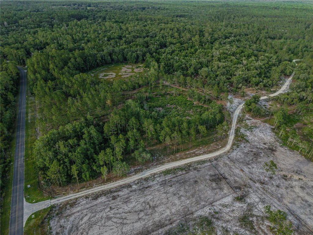Picture 25