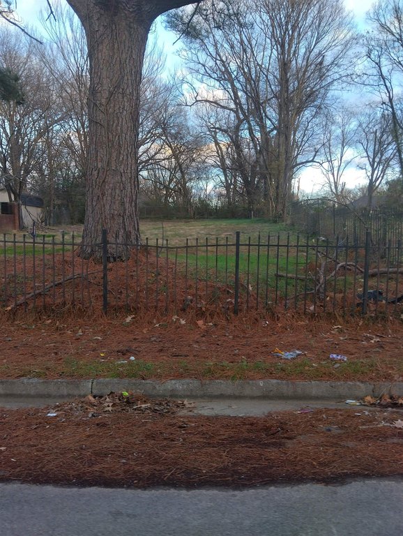 Picture 2