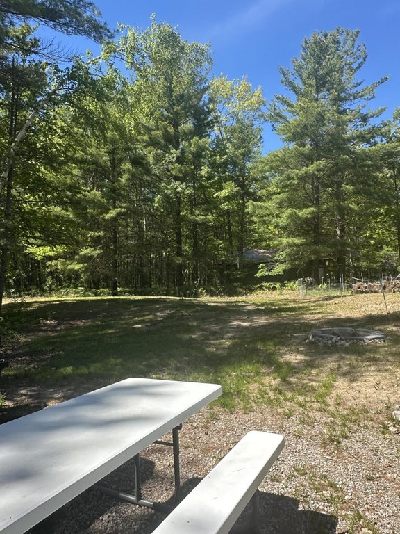 Picture 17