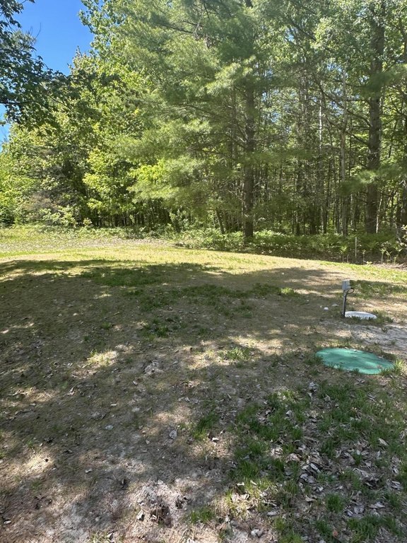 Picture 25