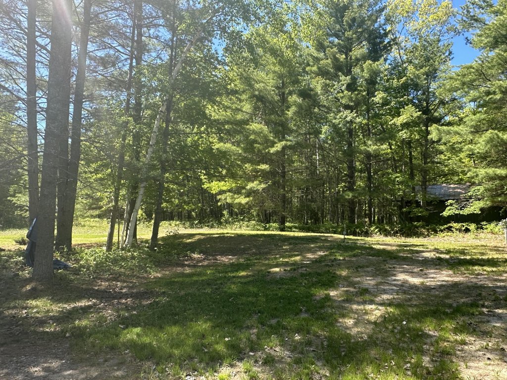 Picture 28
