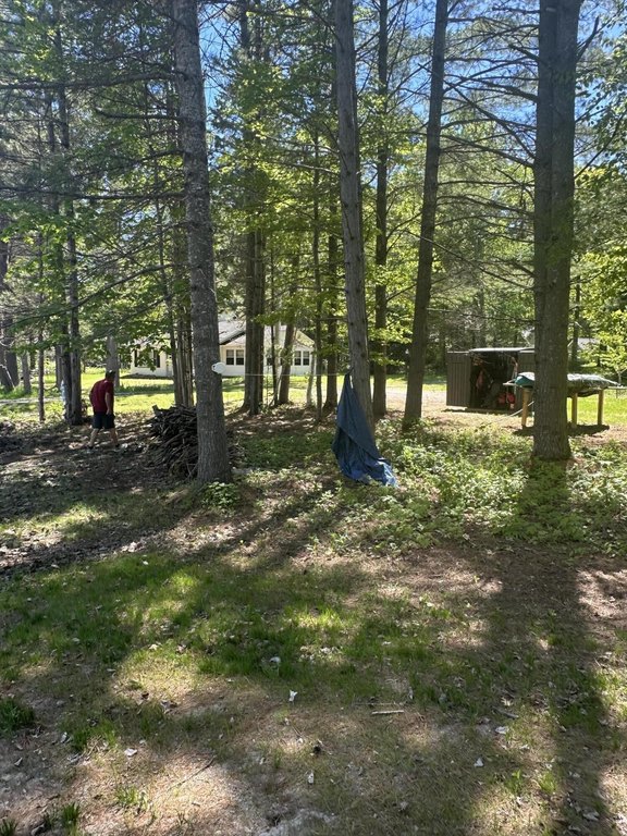 Picture 26