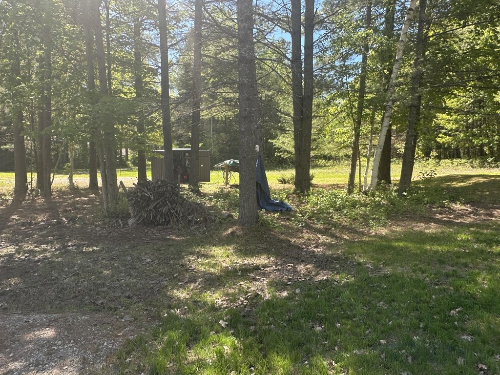 Picture 27