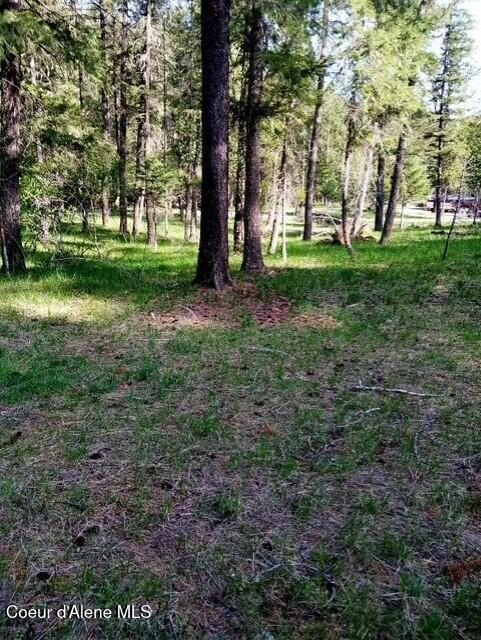 Picture 3
