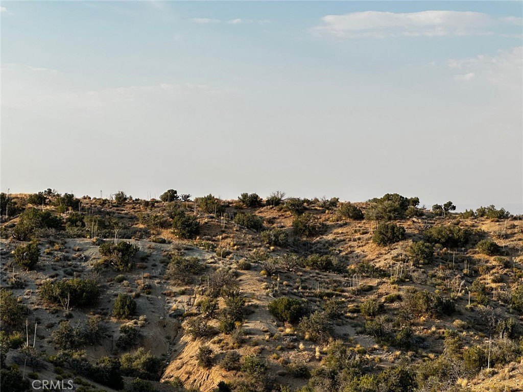 8 Acres at Mountain Base