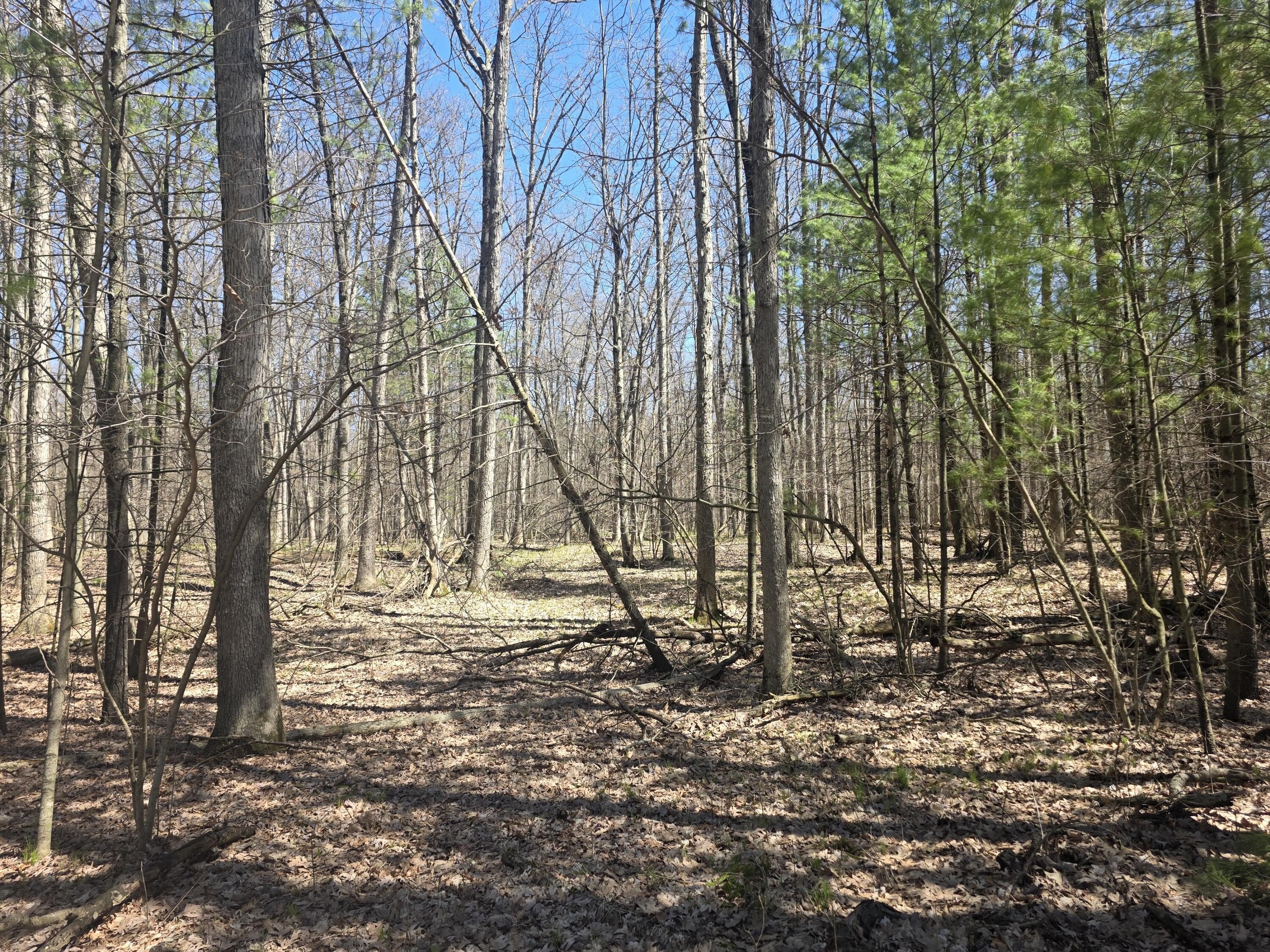 Wooded Building Site Near River
