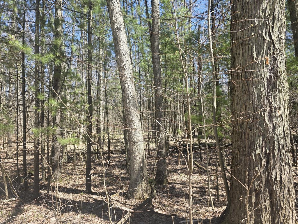 Picture 3