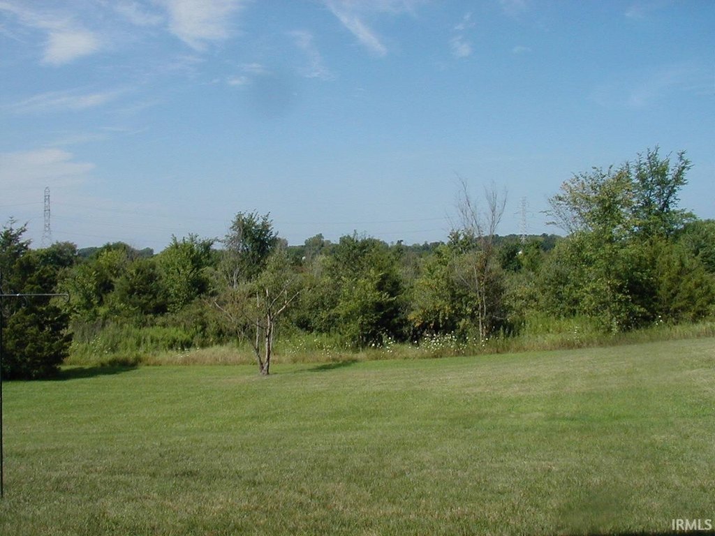 Picture 3