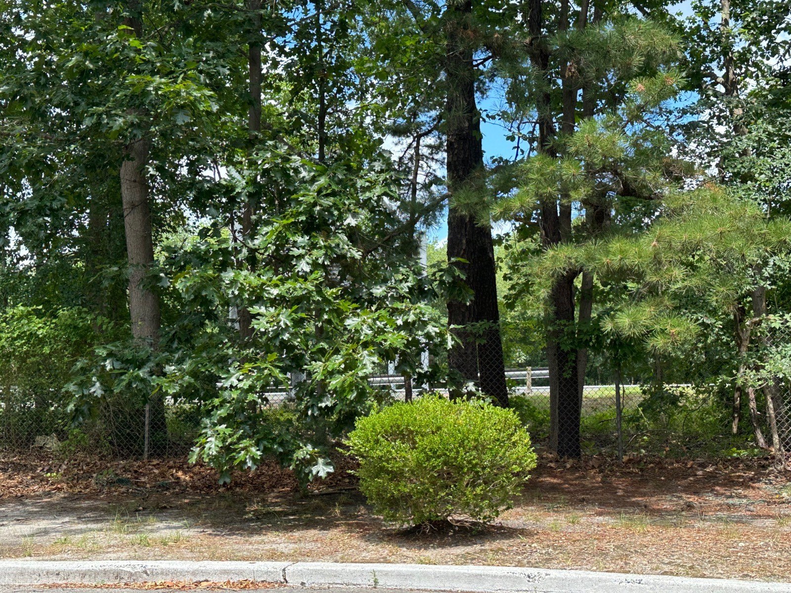 Land Bordering I-195