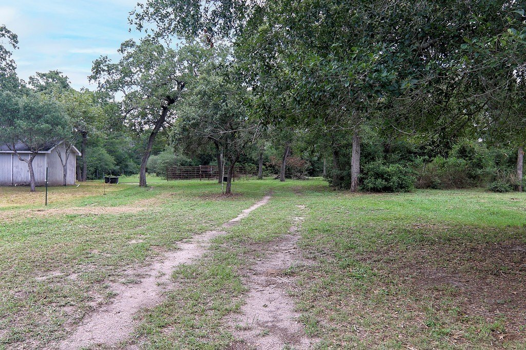 Picture 9