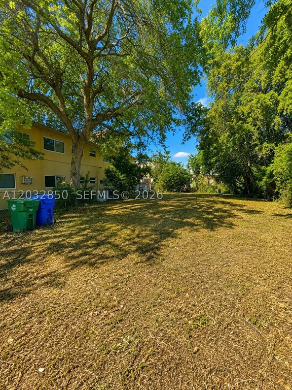 Picture 12