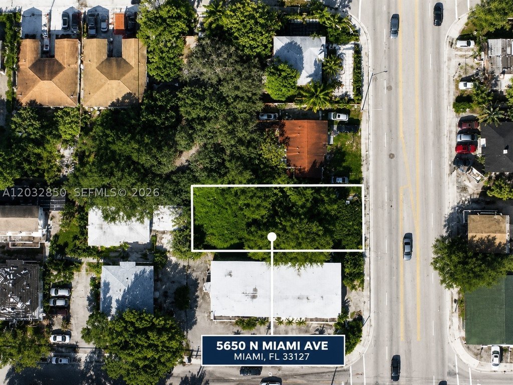 Picture 8
