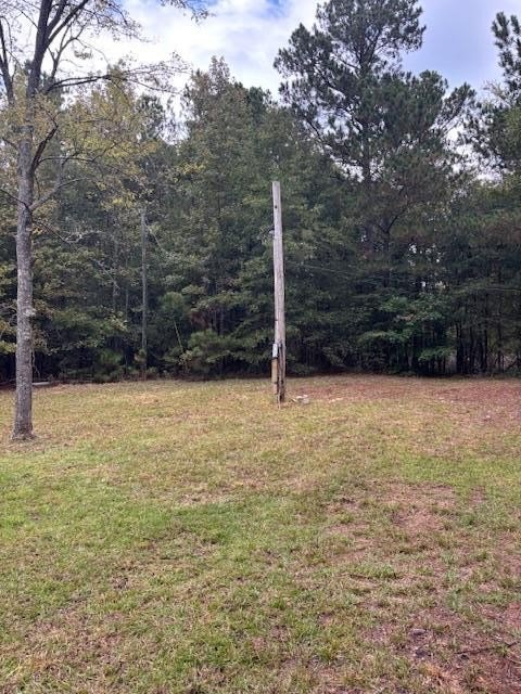 Picture 13