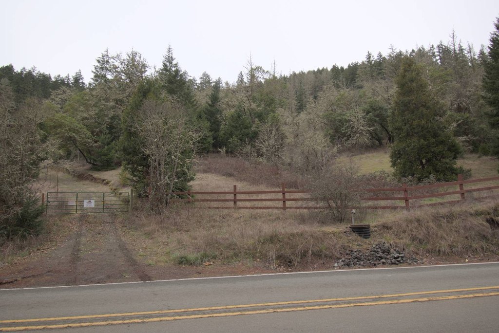 Picture 21