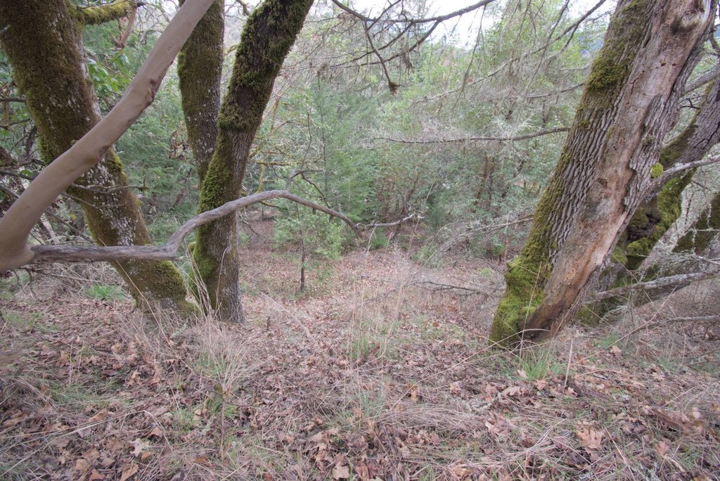 Picture 10