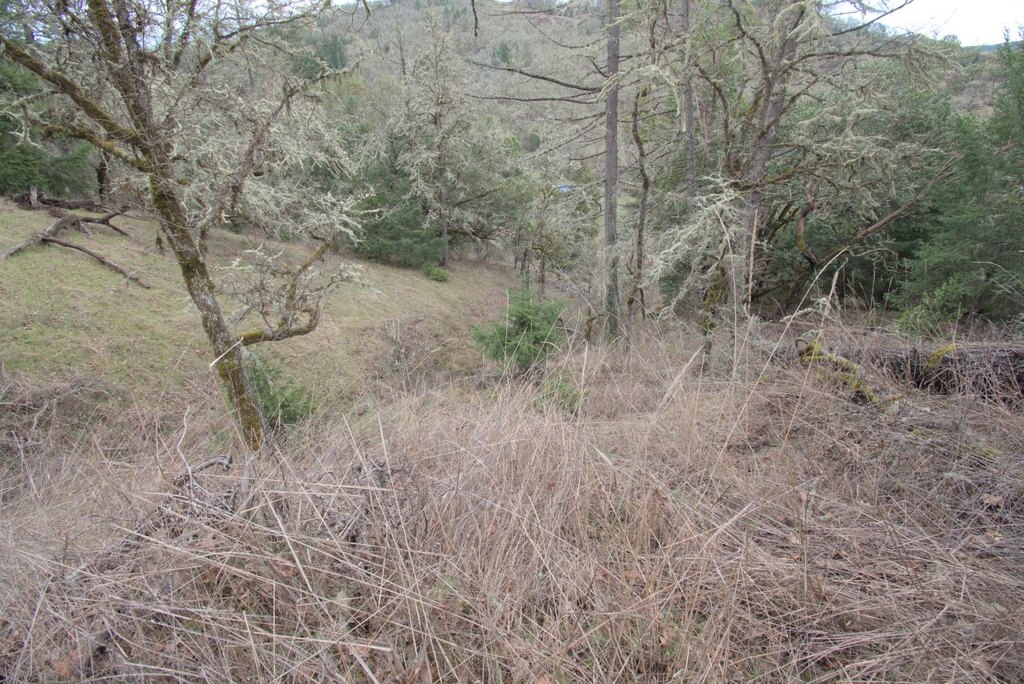 Picture 8