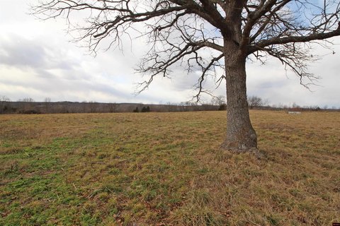 Prime Ozark Land on Ridge