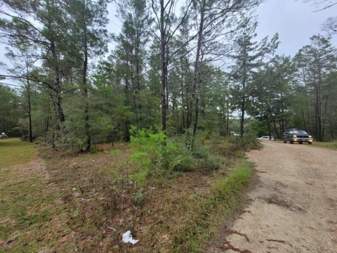 Secluded Wooded Lot Near I-10