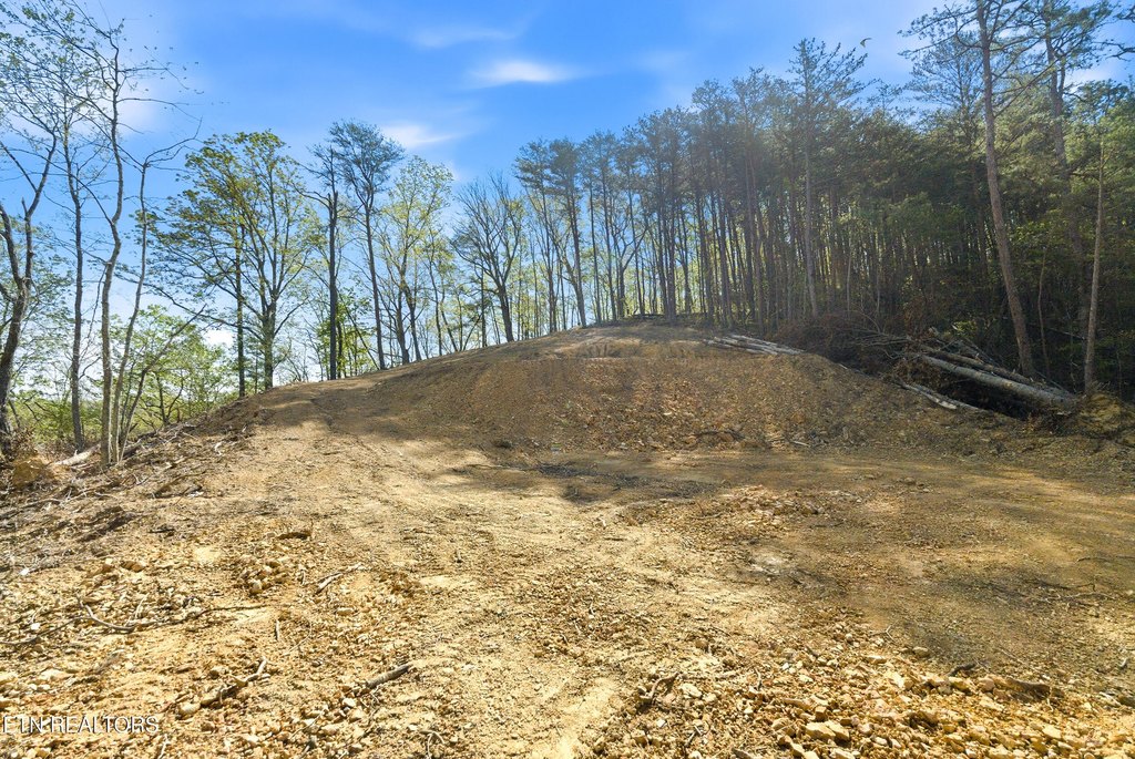Picture 5