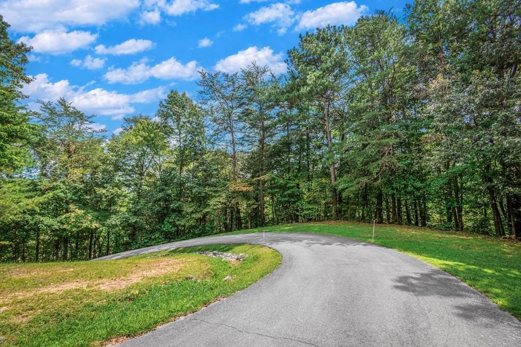 Talking Rock Wooded Lot