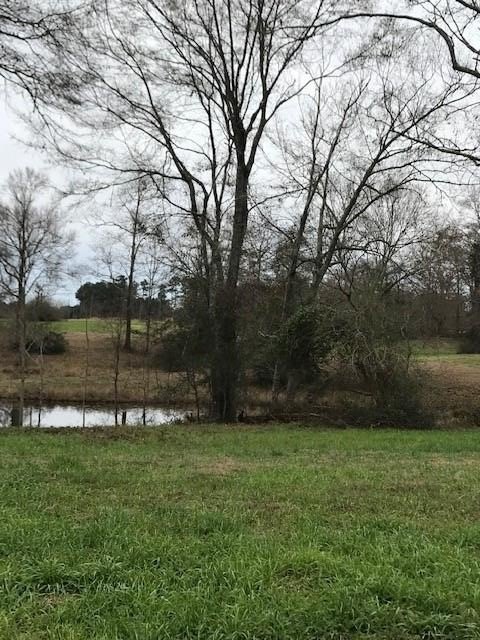 Residential Land in Oak Haven