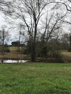 Residential Land in Oak Haven