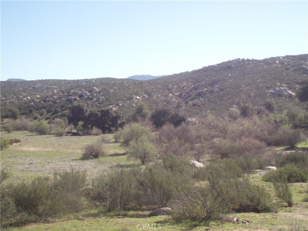 Picture 12