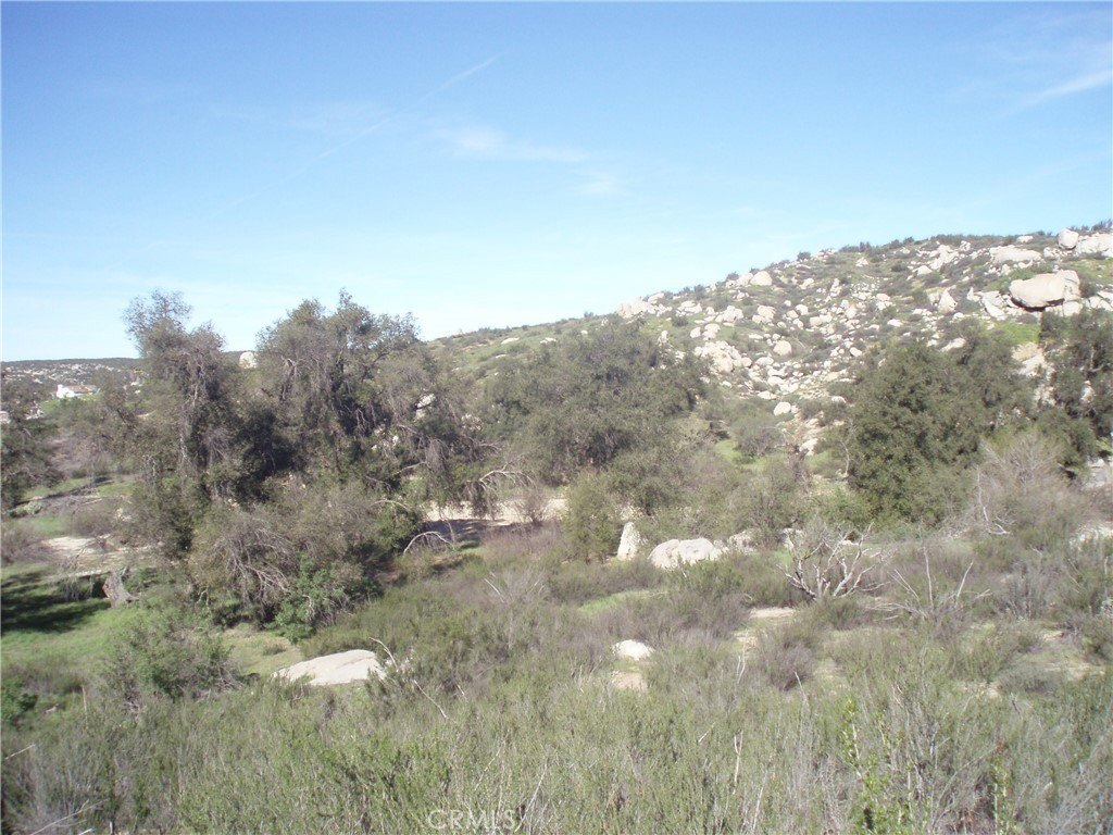Picture 10