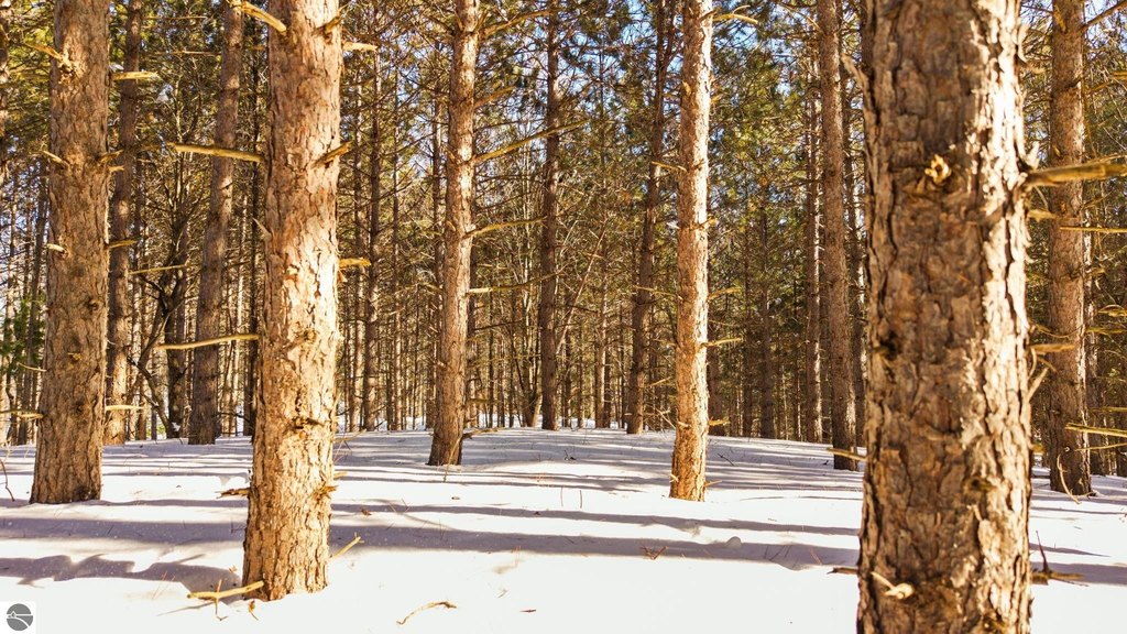Picture 10
