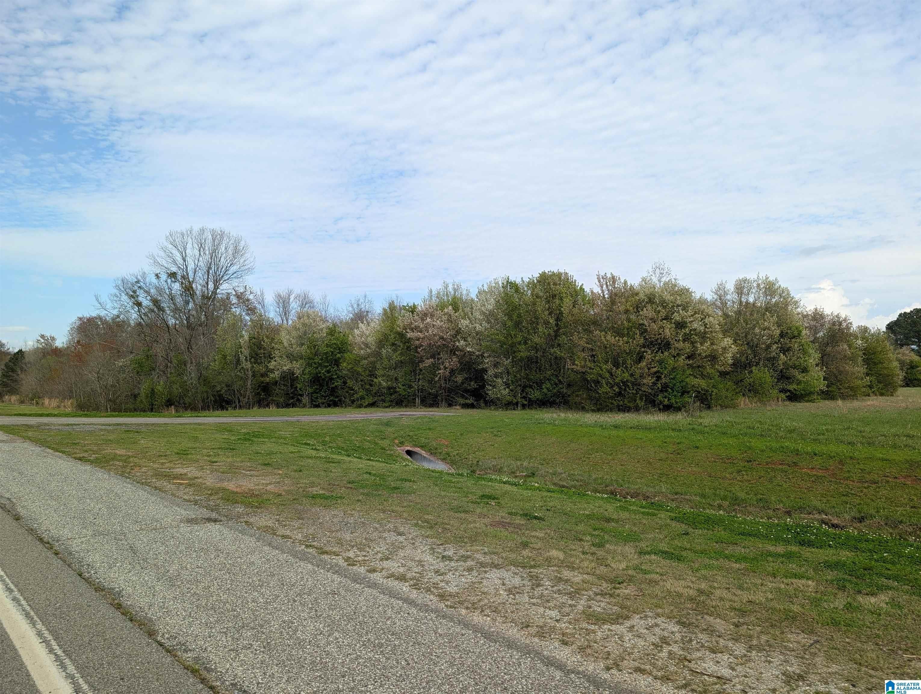 Highway 21 Commercial Acreage