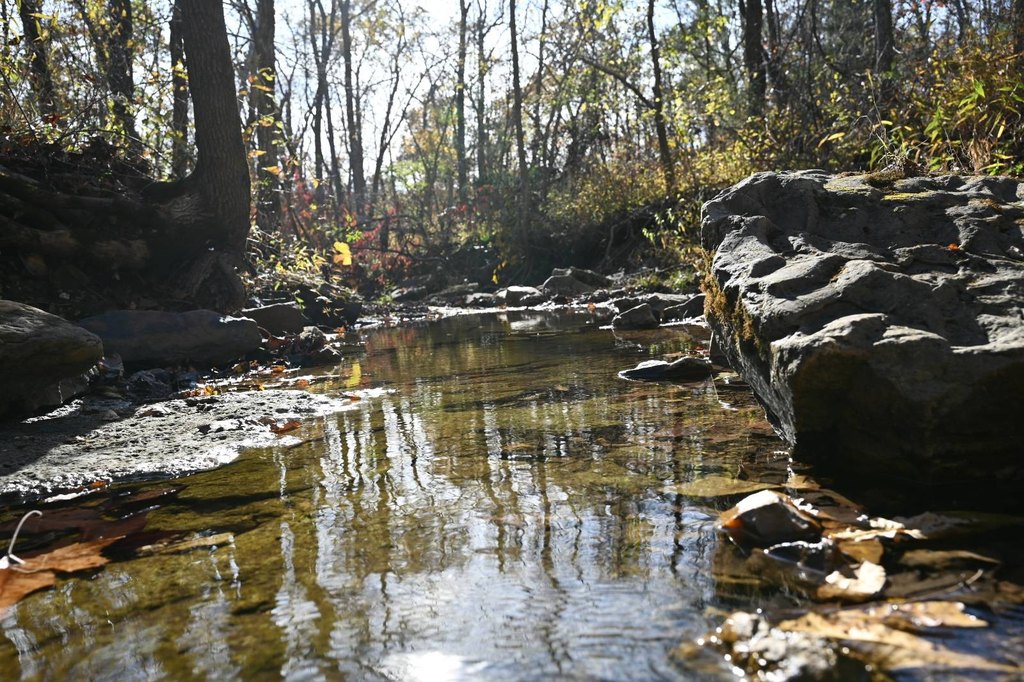 Picture 43