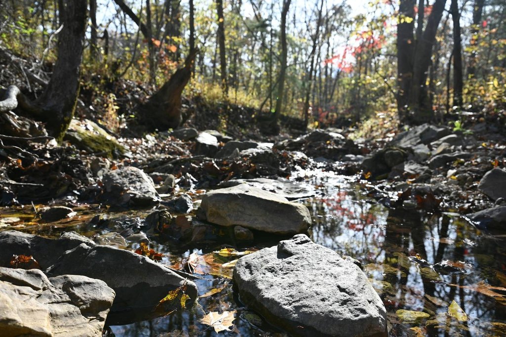 Picture 42